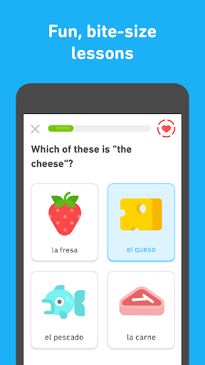 Duolingo for mac